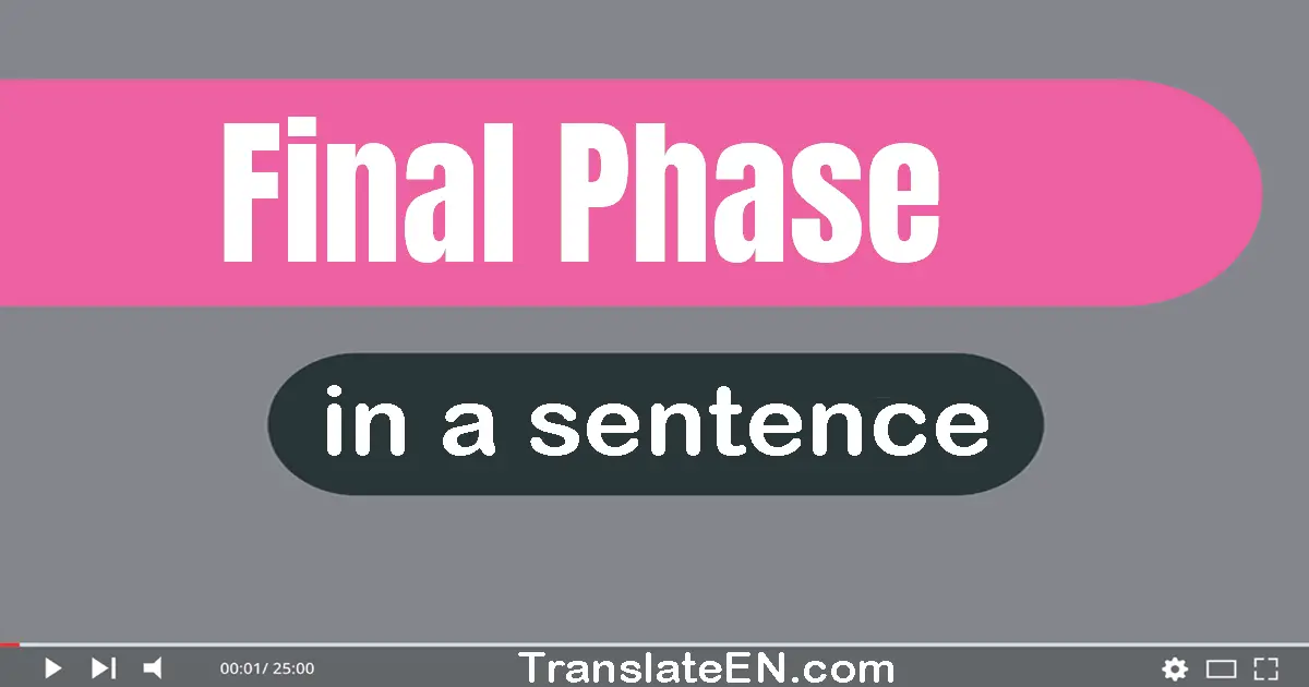 Use "final phase" in a sentence | "final phase" sentence examples