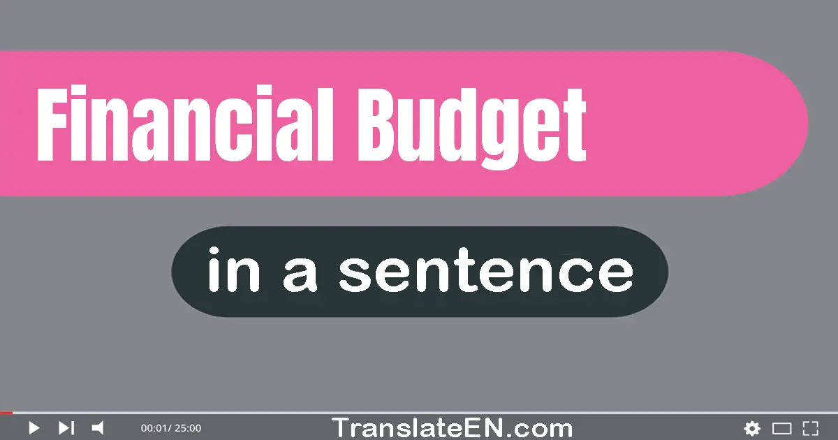 Financial Budget in a sentence