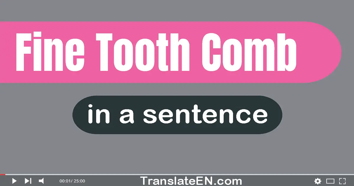 Fine-tooth Comb in a sentence