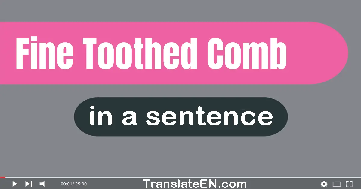 Fine-toothed Comb in a sentence