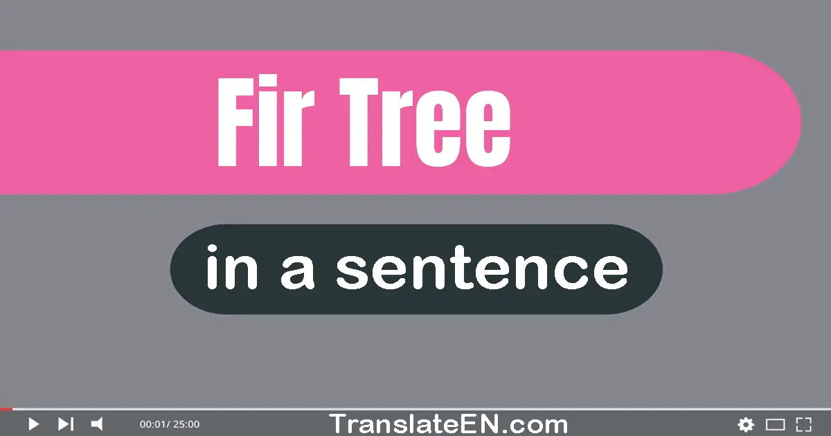 Fir Tree in a sentence