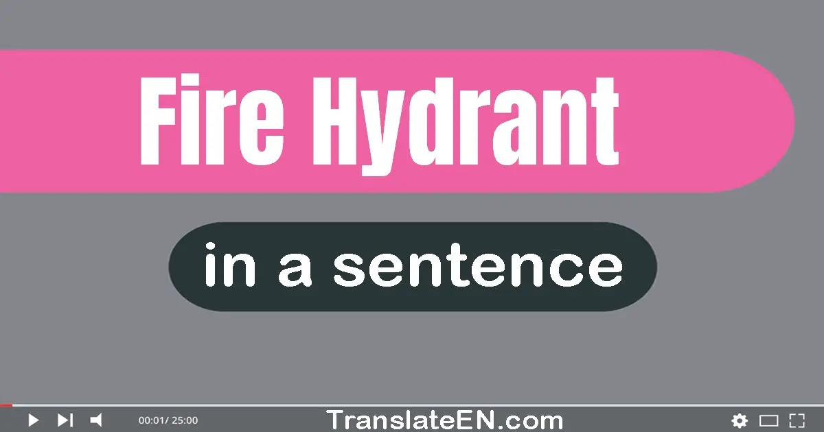 Fire Hydrant in a sentence