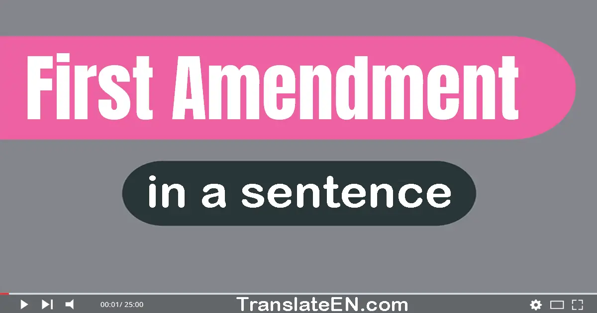 First Amendment in a sentence