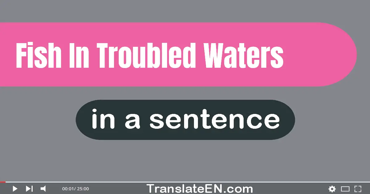 Fish In Troubled Waters in a sentence