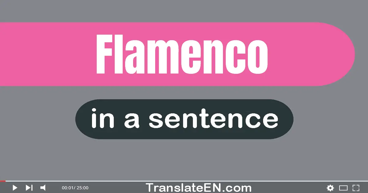 Flamenco in a sentence