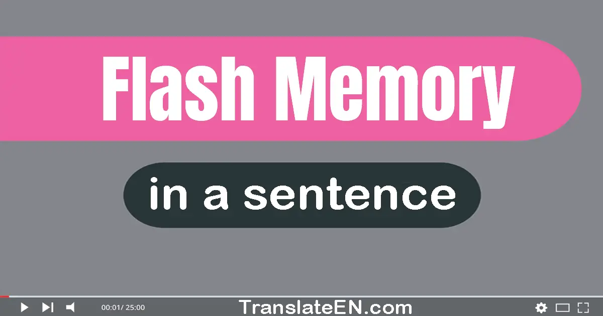 Flash Memory in a sentence