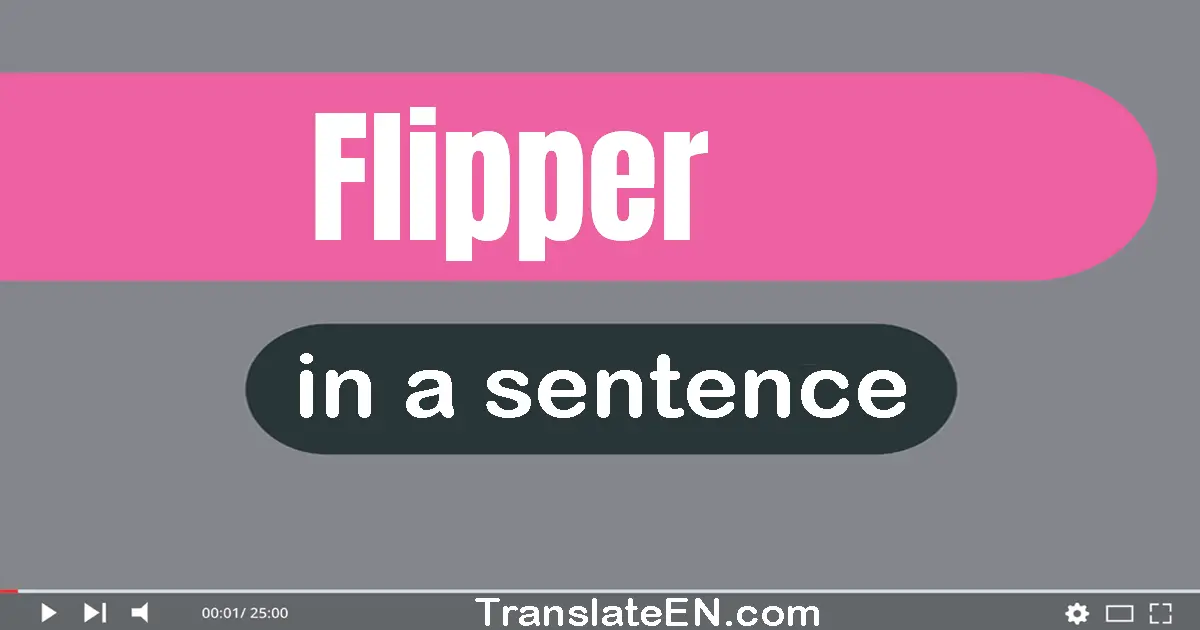 Flipper in a sentence