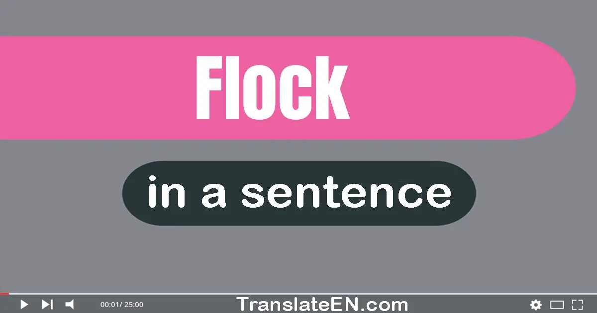 Flock in a sentence