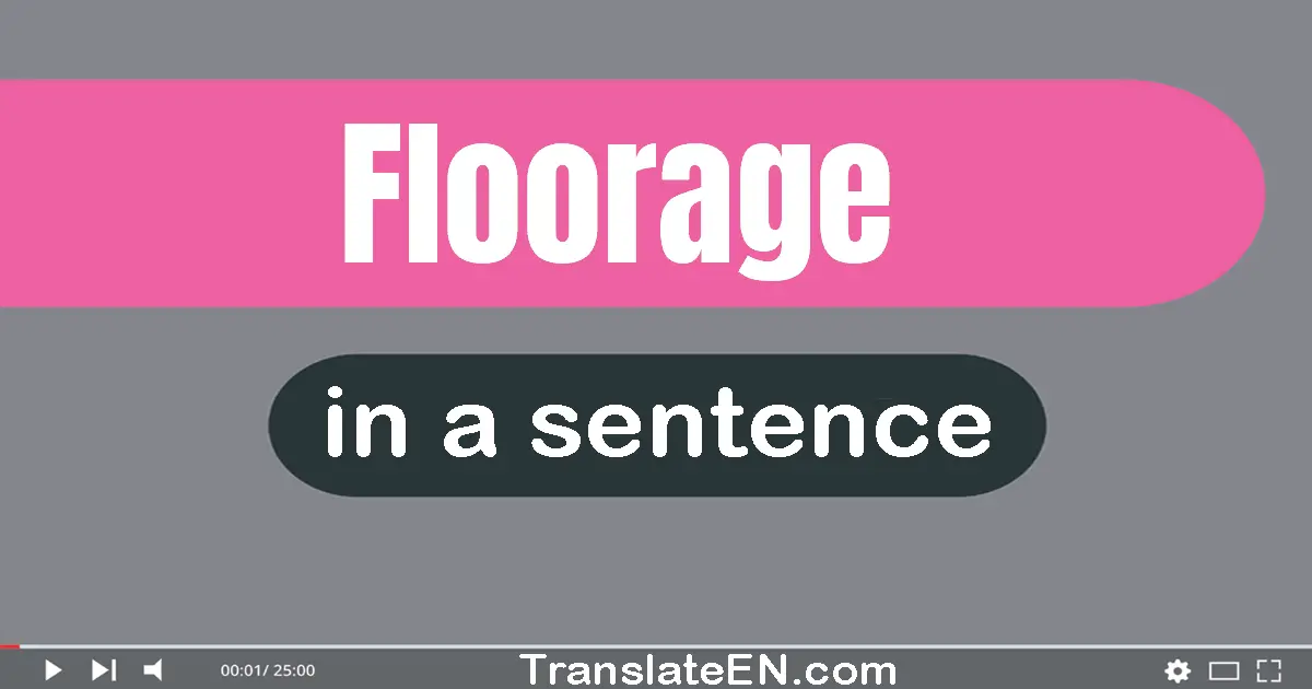 Floorage in a sentence