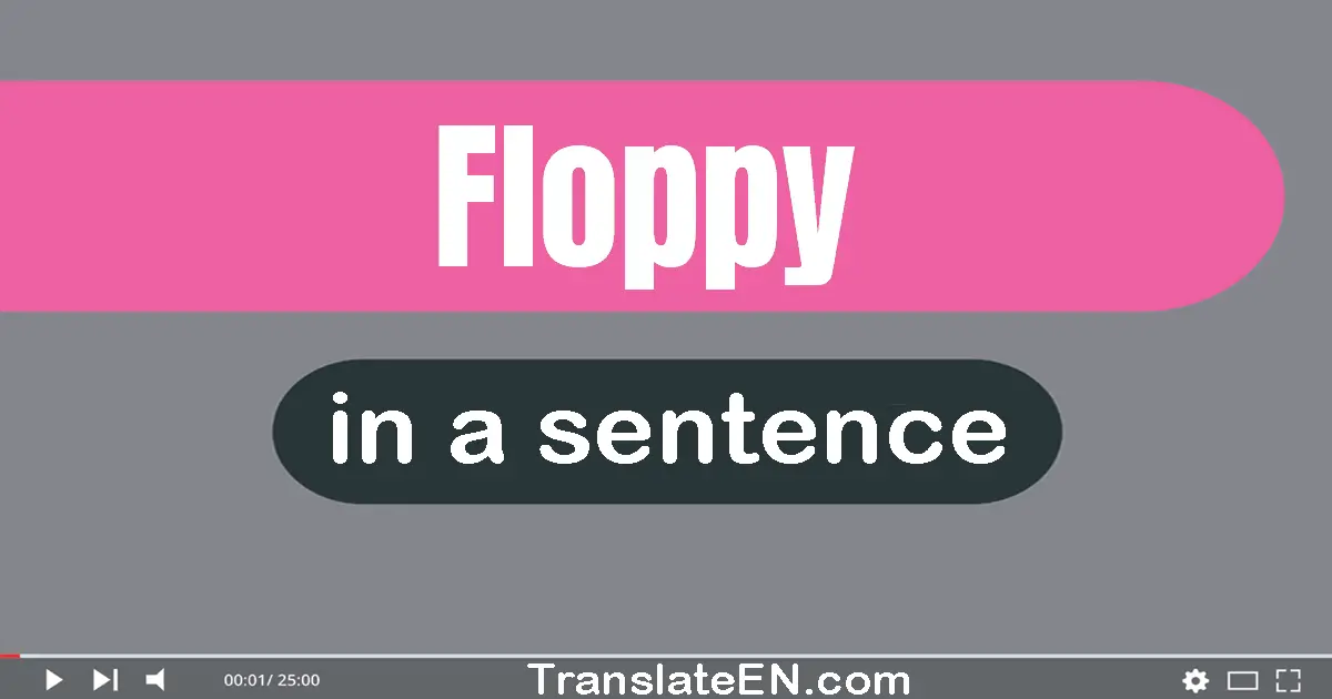 Floppy in a sentence