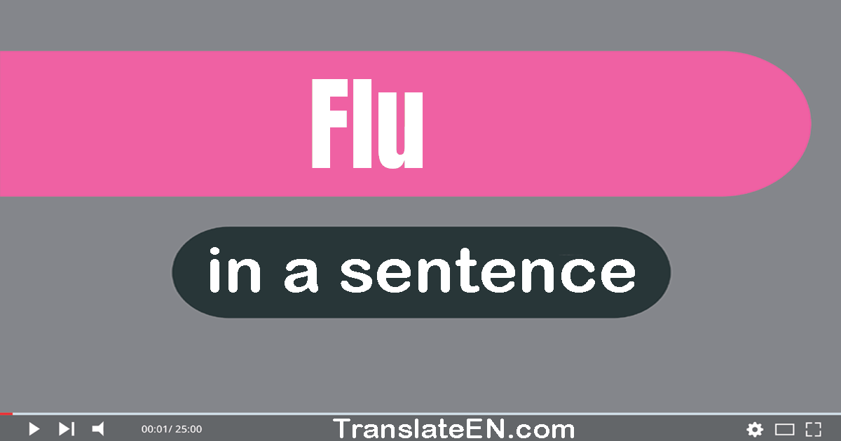 Flu in a sentence