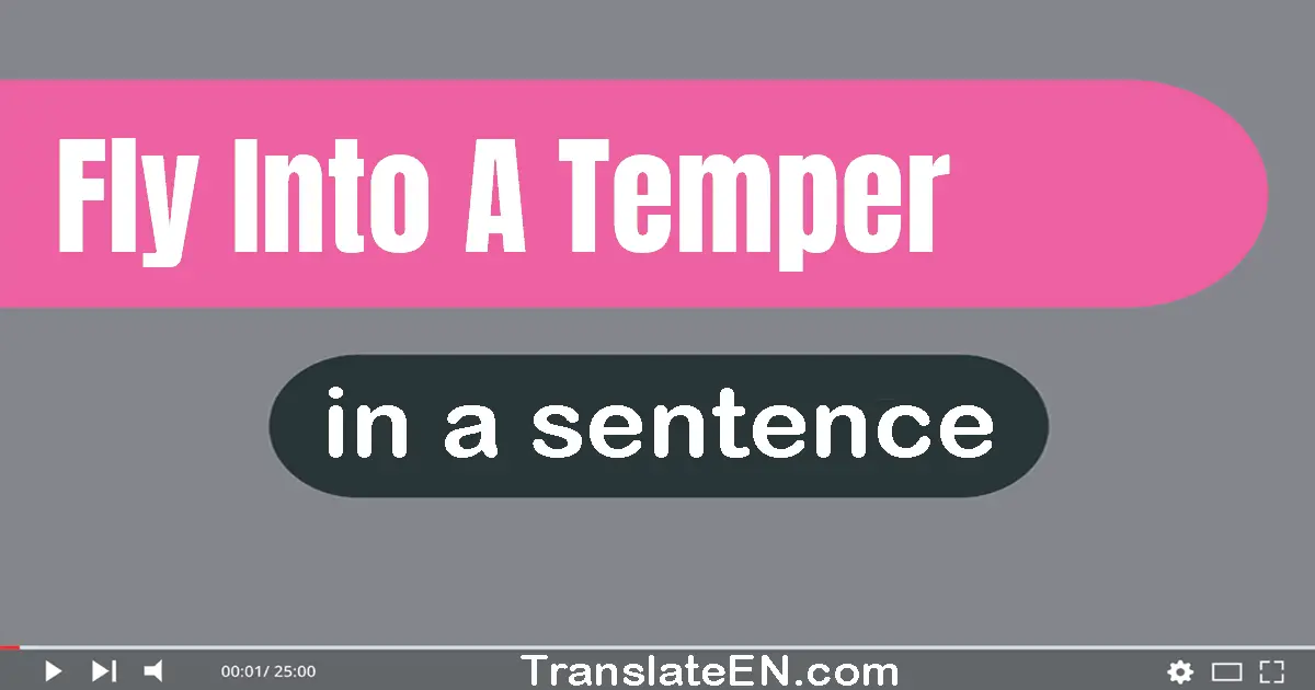 Fly Into A Temper in a sentence