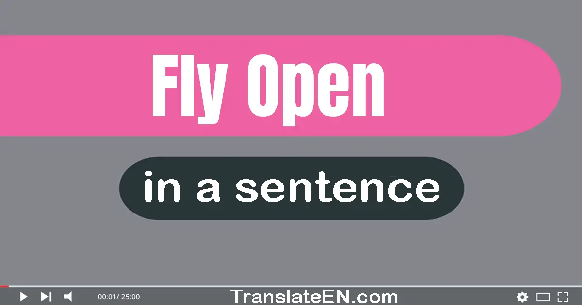 Fly Open in a sentence