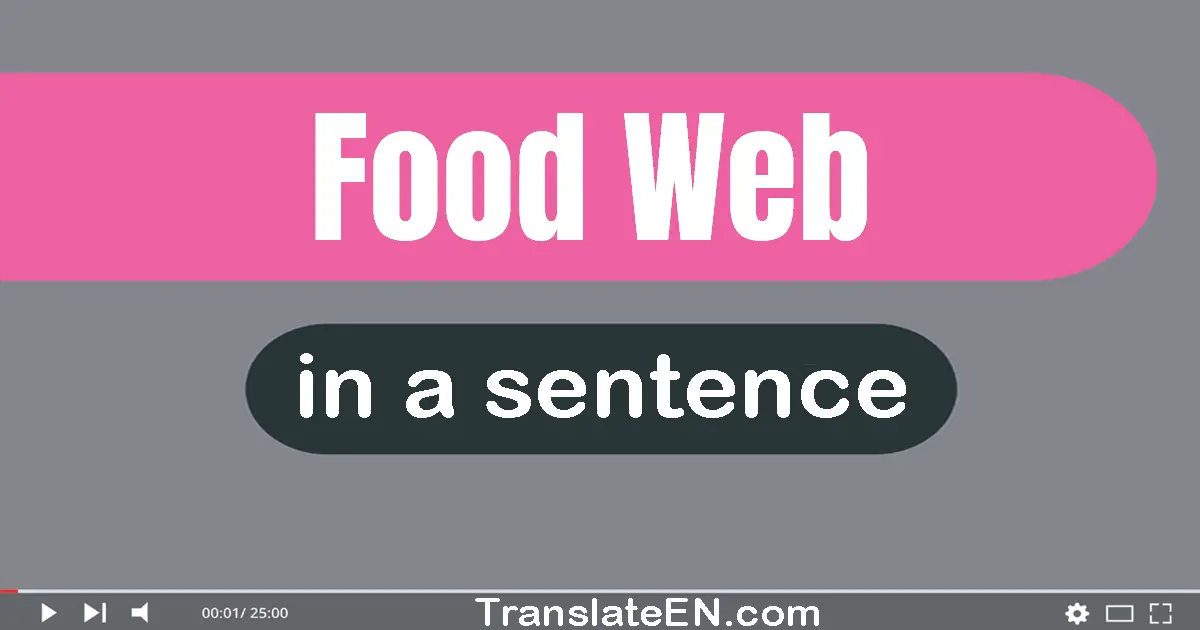 Use "food web" in a sentence | "food web" sentence examples