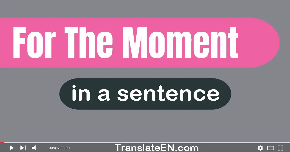 For The Moment in a sentence