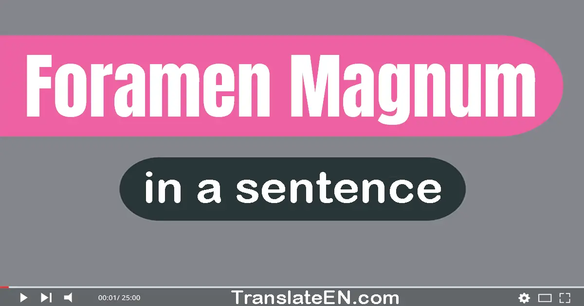 Foramen Magnum in a sentence