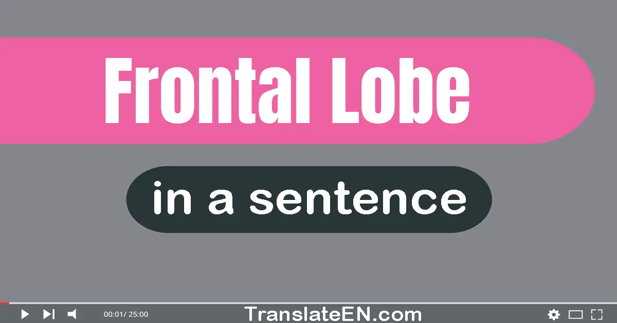 Frontal Lobe in a sentence