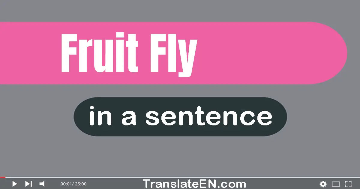 Fruit Fly in a sentence