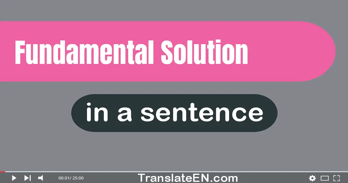 Fundamental Solution in a sentence