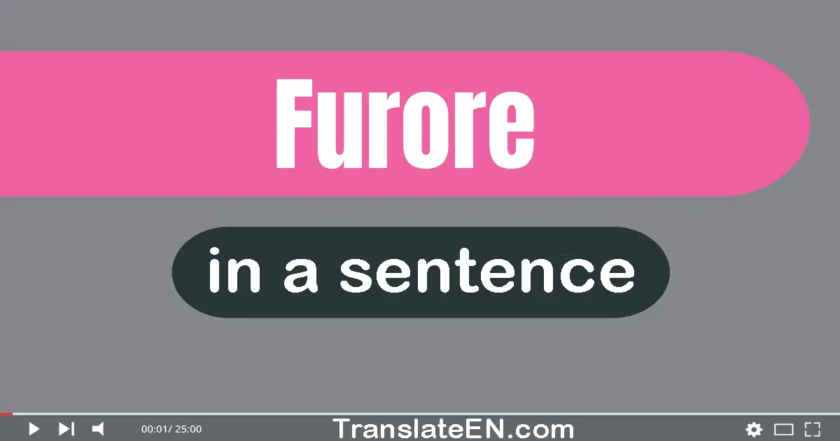 Furore in a sentence