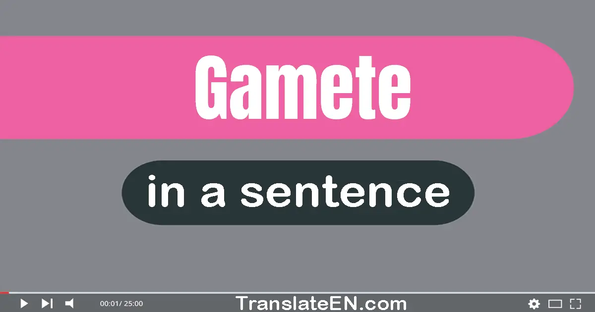 Gamete in a sentence