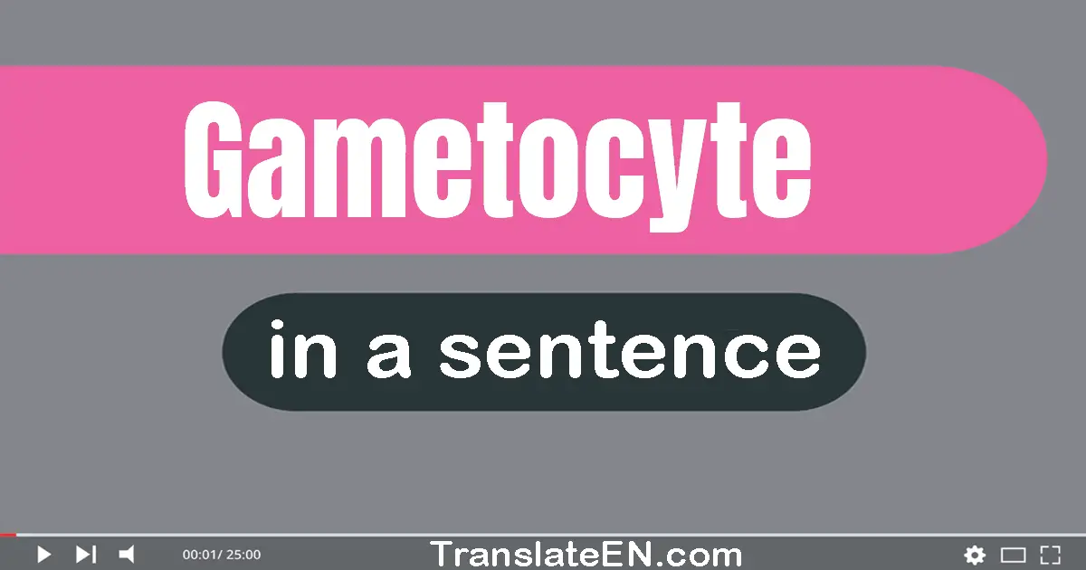 Gametocyte in a sentence