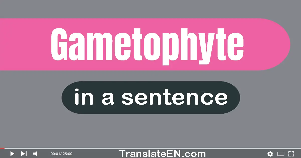 Gametophyte in a sentence