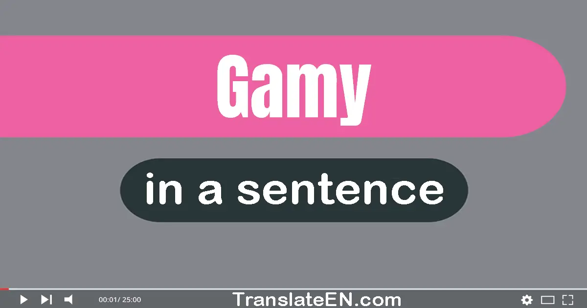 Gamy in a sentence