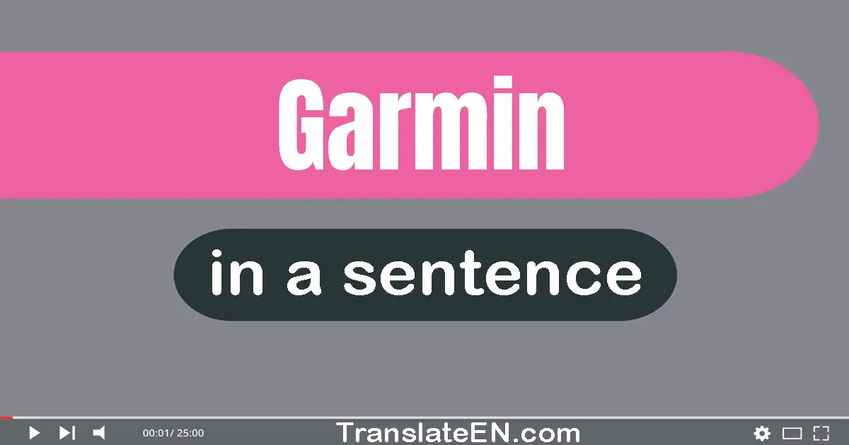 Garmin in a sentence