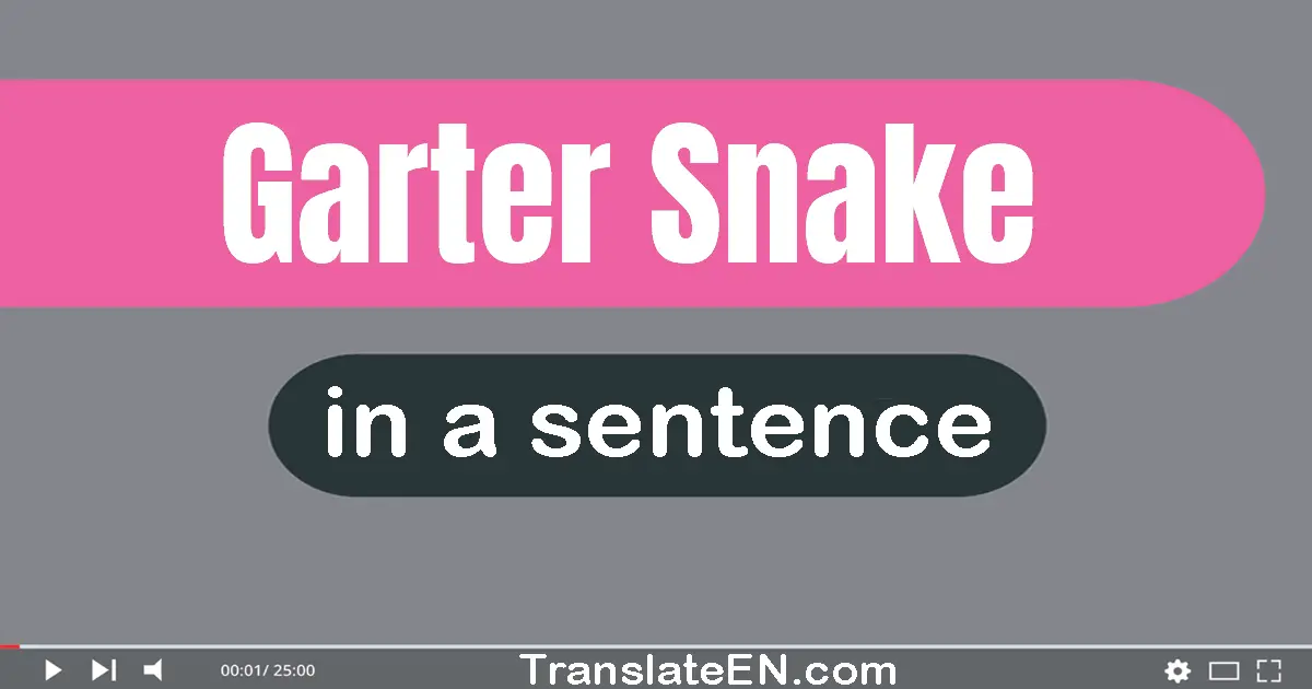 Garter Snake in a sentence