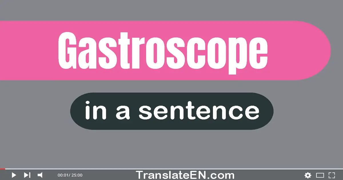 Use "gastroscope" in a sentence | "gastroscope" sentence examples