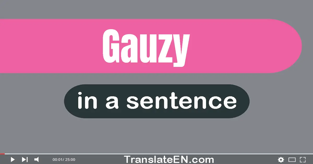 Gauzy in a sentence