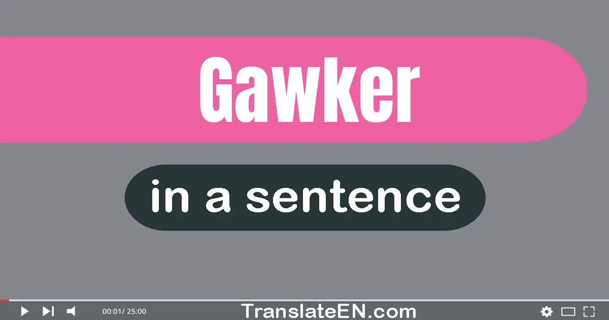 Gawker in a sentence