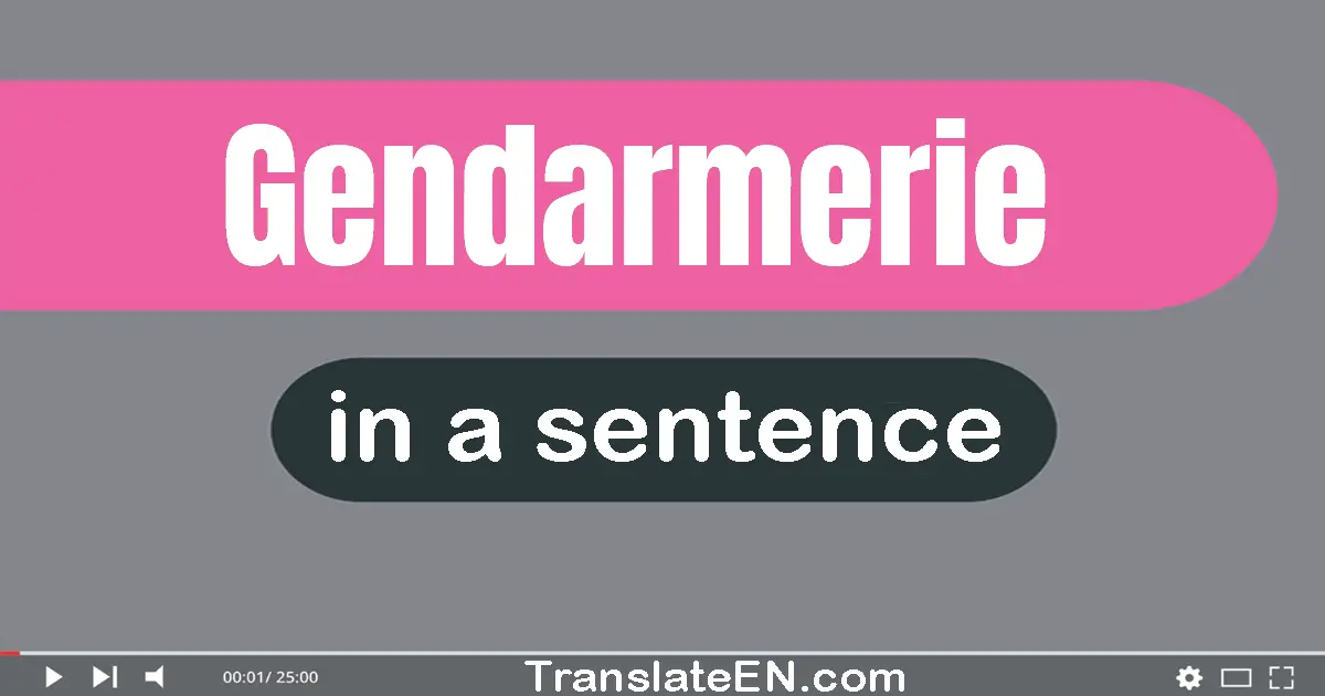 Gendarmerie in a sentence