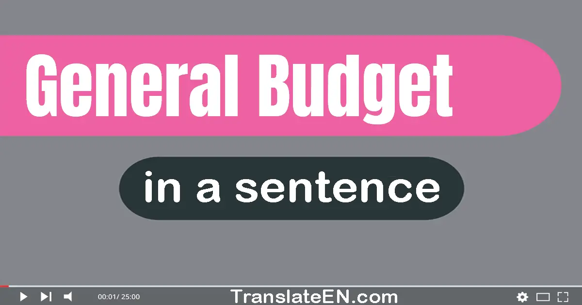 General Budget in a sentence