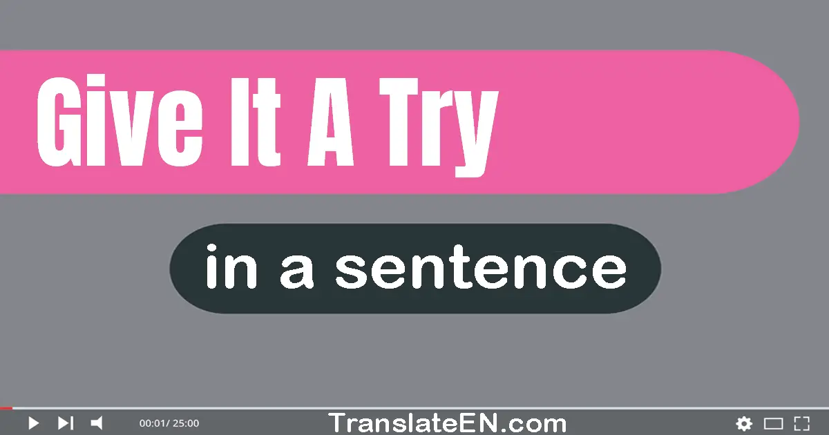 Give It A Try in a sentence