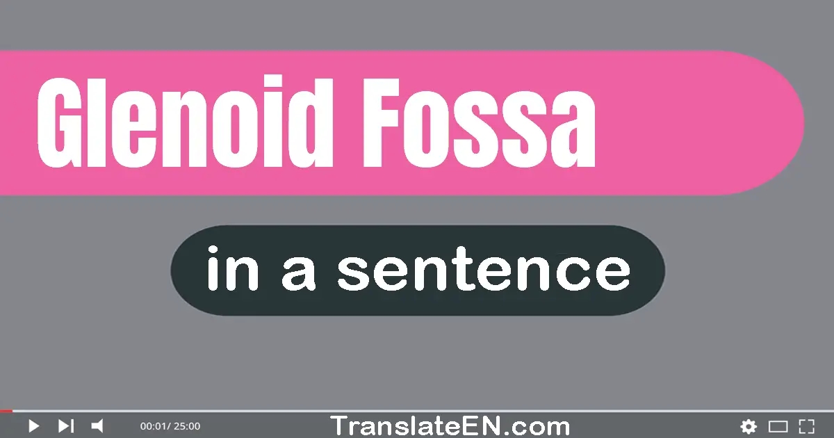 Glenoid Fossa in a sentence