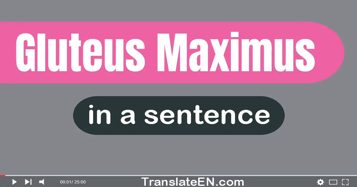 Gluteus Maximus in a sentence