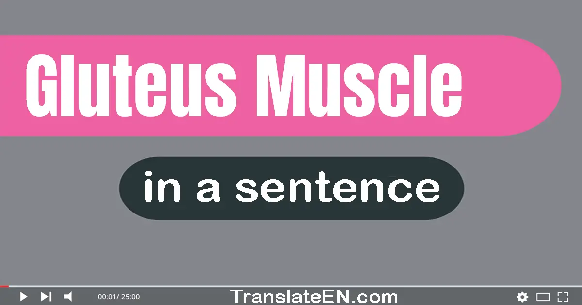 Gluteus Muscle in a sentence