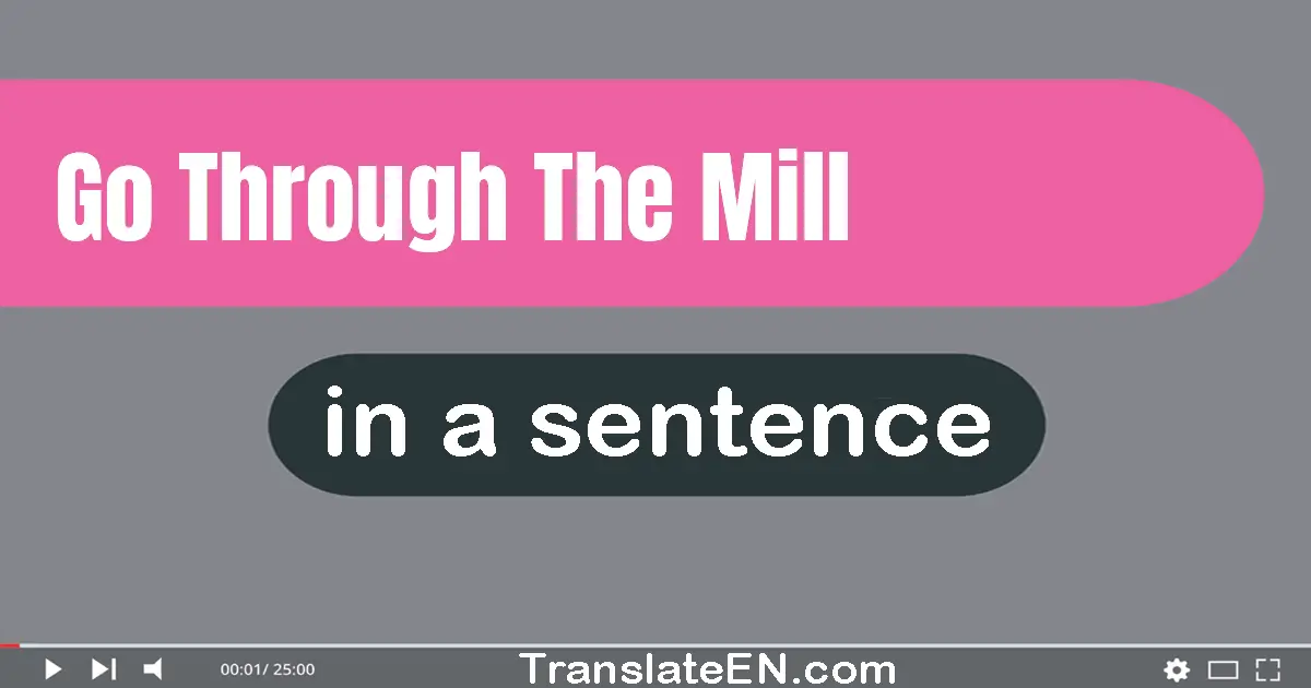 Use "go through the mill" in a sentence | "go through the mill" sentence examples