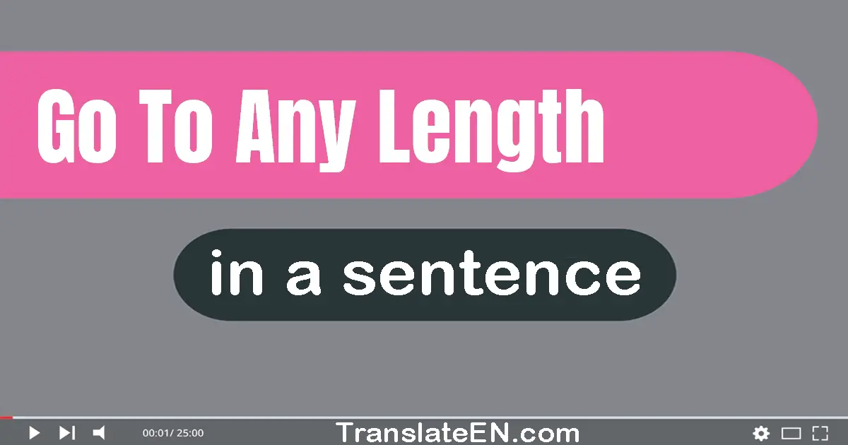 Use "go to any length" in a sentence | "go to any length" sentence examples