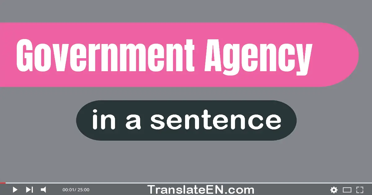 Government Agency in a sentence