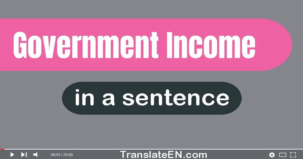 Government Income in a sentence