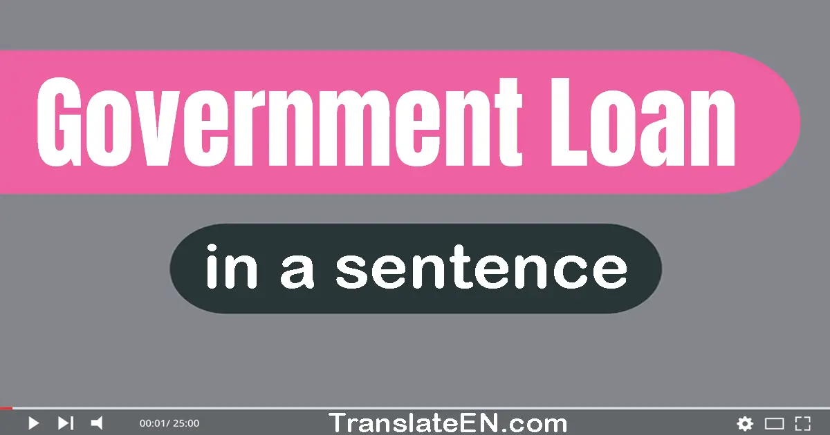 Government Loan in a sentence