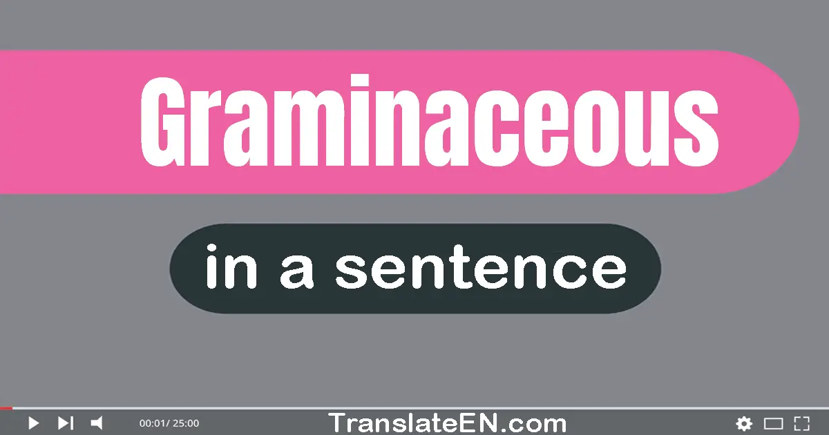 Use "graminaceous" in a sentence | "graminaceous" sentence examples