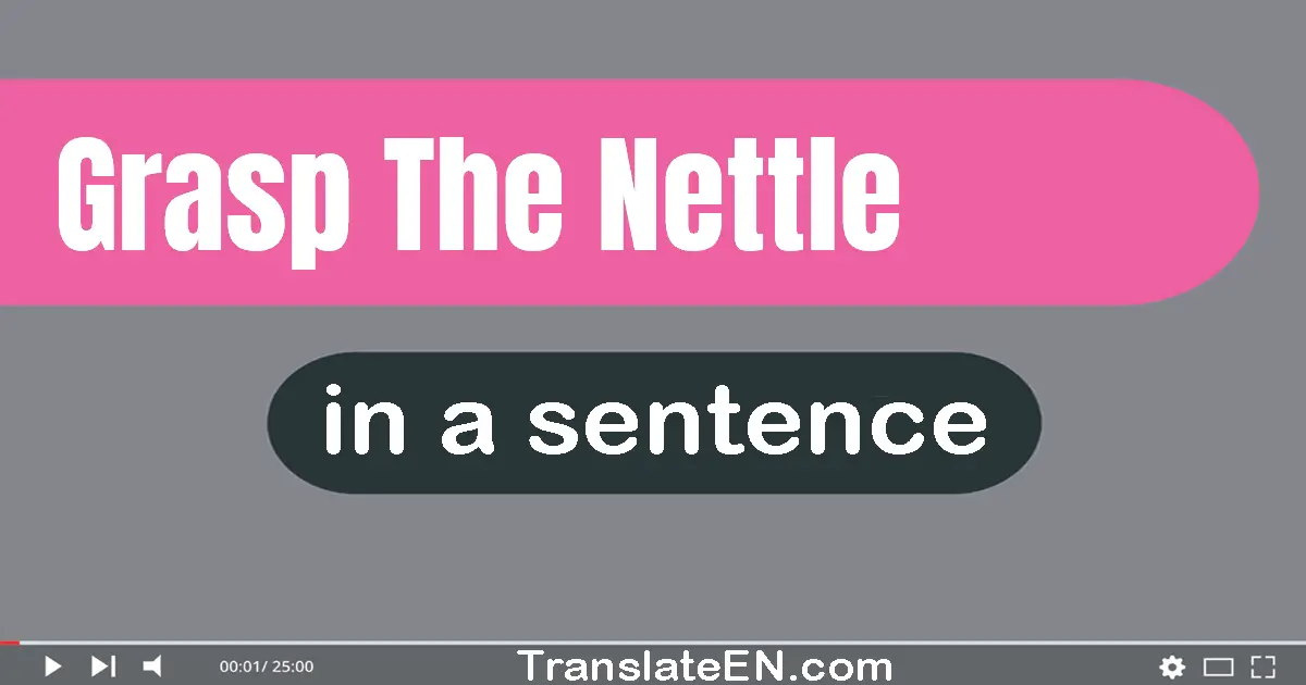 Grasp The Nettle in a sentence