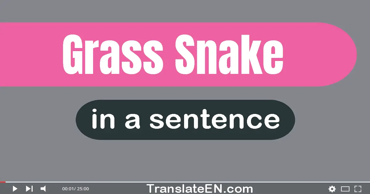 Grass Snake in a sentence