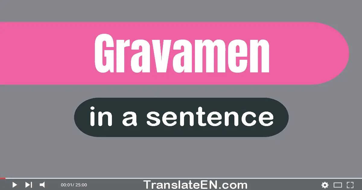 Use "gravamen" in a sentence | "gravamen" sentence examples