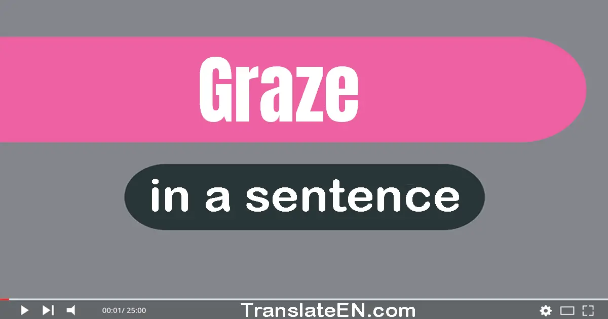 Use "graze" in a sentence | "graze" sentence examples