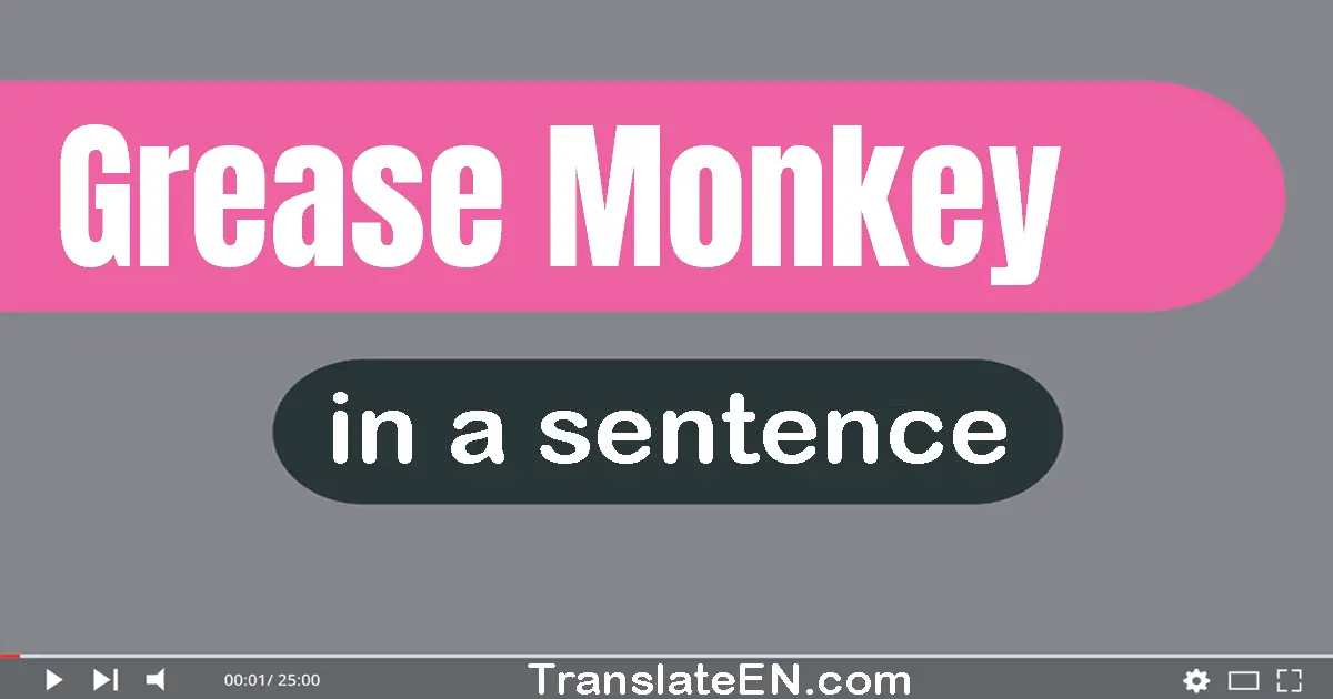 Use "grease monkey" in a sentence | "grease monkey" sentence examples